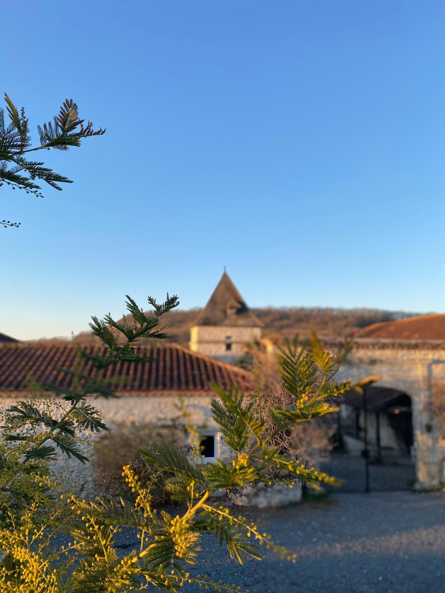 Отель Domaine De Villot Sainte-Colombe-de-Villeneuve Экстерьер фото